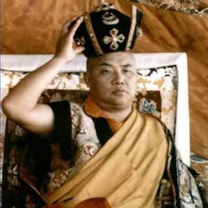 His Holiness the 16th Karmapa