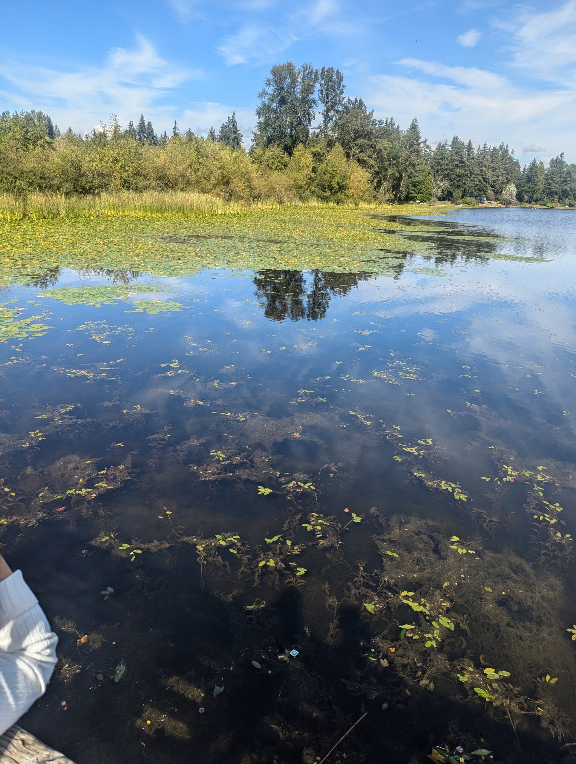 Phantom Lake, WA, USA